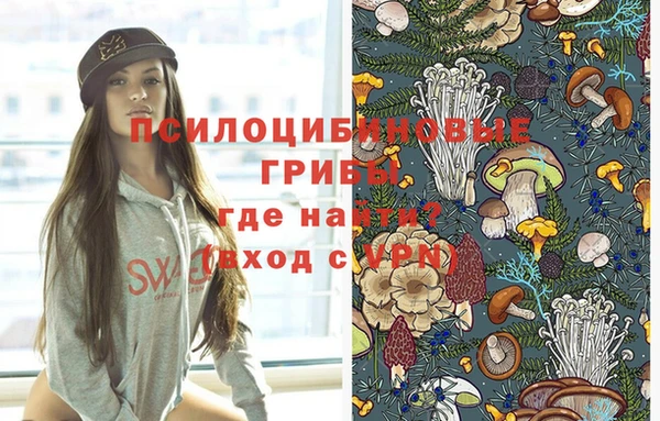 молекула духа Вязники