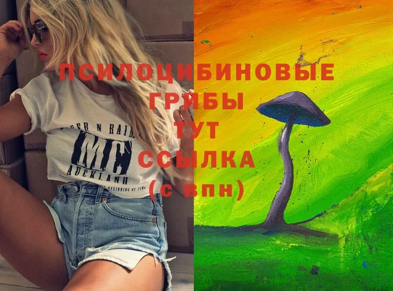 Псилоцибиновые грибы Psilocybine cubensis  Алушта 